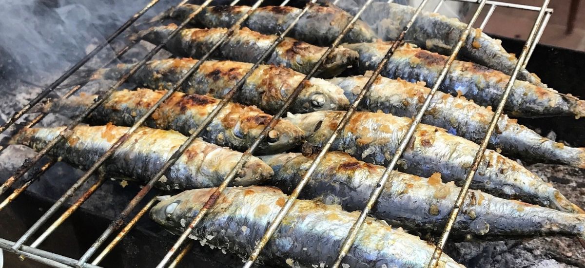 fresh portuguese sardines
